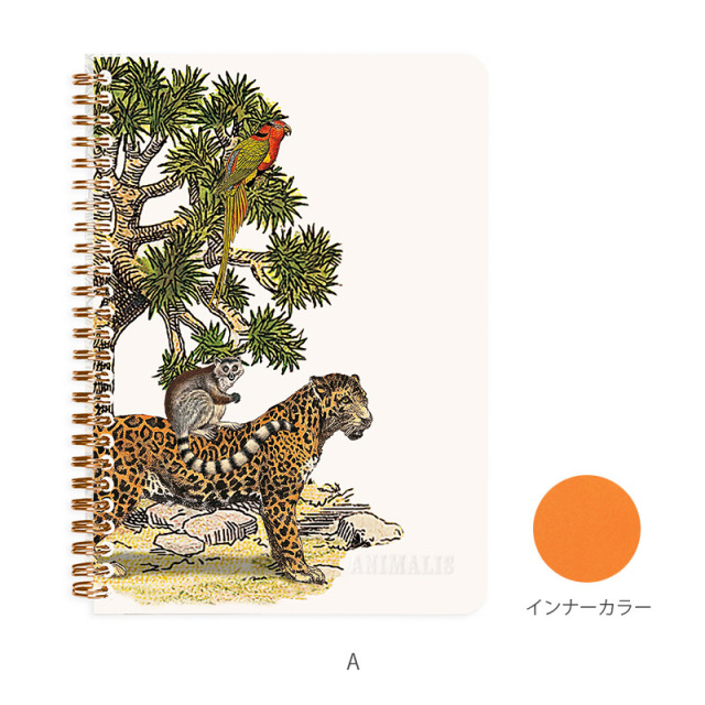 [クレールフォンテーヌ]